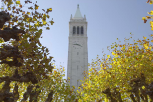 Photo of campanile, looking up through trees