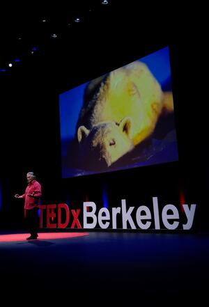Ted x Berkeley Speaker